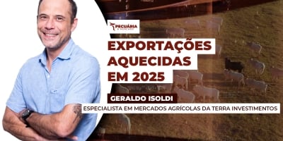 EUA e Chile elevam preços pagos pela carne brasileira e Rússia avança nas importações em Novembro/25