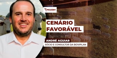 Mercado de carne mais enxuto, encurtamento das escalas dos frigoríficos e preços da arroba inferiores a 2024 dão suporte a um movimento de alta para arroba