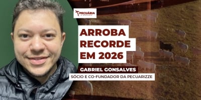 Cenários de oferta e demandas podem favorecer busca por cotações recordes para arroba em 2026