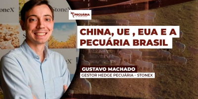 Fator China e os impactos para arroba do boi