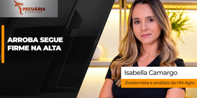Arroba sobe forte nesse início de outubro e disputa por animais sinaliza continuidade das altas