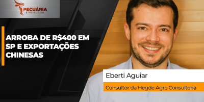 Arroba de R$400 em SP e retomada das exportações para China são os destaques no mercado do boi