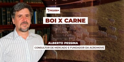 Oferta crescente de animais vem surpreendendo mercado e impactando precificação da arroba