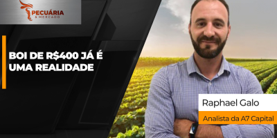 Praças pecuárias em MG, PR e SP já têm negócios pontuais com arroba a R$400 e B3 também se aproxima