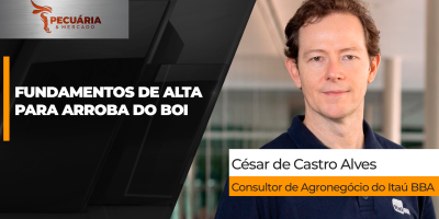 Cenário é de alta e fundamentos justificam continuidade do movimento para o boi, mas analista alerta para repasse de preços aos compradores