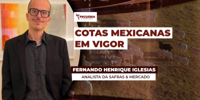 China e agora o México estabelecem cotas para as exportações brasileiras, mas cenário segue positivo para arroba, diz analista