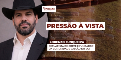 Pressão sobre arroba do boi já começou e deve ser intensificada ao longo de Julho e Agosto, afirma analista