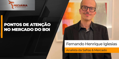 Entenda os fatores que podem impactar os preços da arroba nos próximos meses