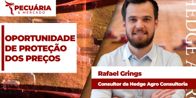 Alta da arroba no mercado futuro proporciona melhor momento do ano para proteção de preços