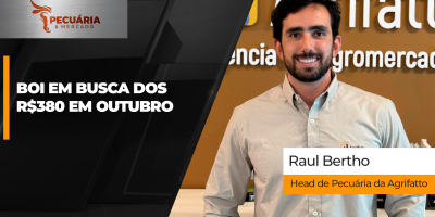Ritmo de alta da arroba segue forte no mercado físico com pecuarista mirando os R$380 da bolsa