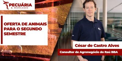 Regulação na oferta de animais só deve acontecer a partir de outubro, enquanto isso, arroba do boi vai seguir pressionada pela menor demanda da China