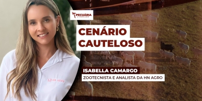 Arroba do boi se estabiliza, mas ainda tem viés negativo para os preços