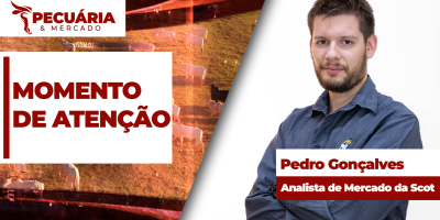 Fim da cota chinesa e redução de operações nos frigoríficos deixam mercado do boi em atenção