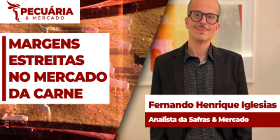 Frigoríficos encontram desafios para ajustar margens da carne no mercado interno