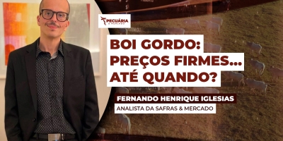 Boi gordo se sustenta com oferta restrita, mas volatilidade externa impõe cautela