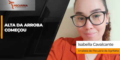 Semana encerra com boa alta para arroba  do boi e movimento deve se intensificar em outubro