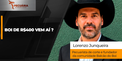 Arroba de R$400 está mais próxima, mas ainda é preciso confirmação das demandas chinesa e de mercado interno
