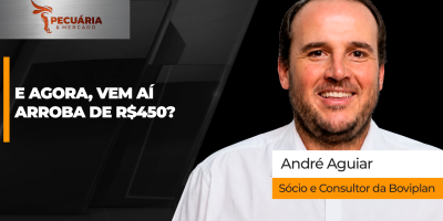Arroba do boi bate recorde de preço, mas rentabilidade no campo é igual ou até pior que no ano passado