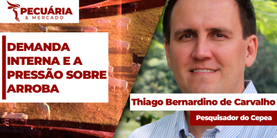 Desajuste entre oferta e demanda vai promover pressão sobre arroba do boi ao longo de Julho