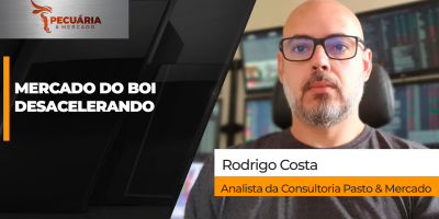 Movimento de alta da arroba desacelera com mercado à espera da retomada das compras chinesas
