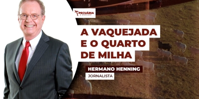 Como a vaquejada, um evento tradicional e cultural do Nordeste, pode influenciar na criação do Quarto de milha.