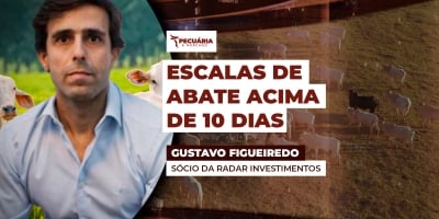 Feriados reduzem dias de abate, empurram escalas para janeiro e mantêm média nacional acima de 10 dias úteis; Goiás foge à regra