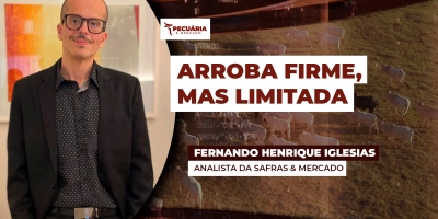 Março começa com arroba do boi firme, mas com altas limitadas e um dos gargalos pode ser a demanda interna