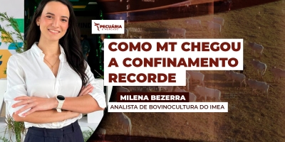 MT registra confinamento recorde em 2025 apesar de recuo no número de pecuaristas confinadores