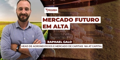 Mercado futuro do boi em alta sinaliza mudança de preços para arroba no físico