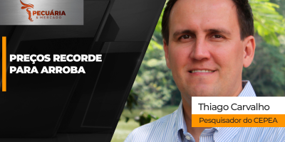 Arroba do boi chega aos R$380 em SP, atinge novo recorde nominal e tem potencial para continuar subindo