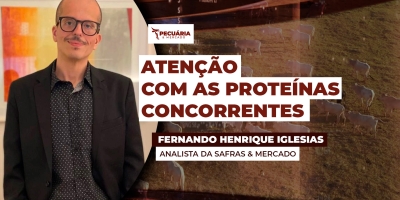 Com queda nas carnes de frango e suína, concorrência pelo consumo interno pode chegar à arroba do boi