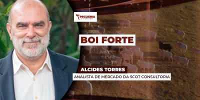 Arroba do boi segue trajetória de alta e mercado é positivo para os preços