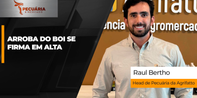 Arroba do boi se firma em alta e reajustes de R$5/@ são registrados em diferentes praças