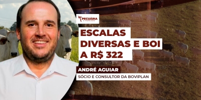 Indústrias frigoríficas operam com escalas desuniformes enquanto boi gordo gira em torno de R$ 322/@