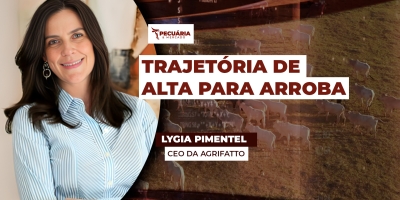 Exportações recordes e oferta enxuta de animais promovem reviravolta nos preços da arroba