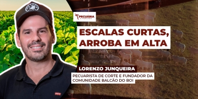 Alta da arroba é impulsionada pela redução da oferta e cenário de escassez deve persistir