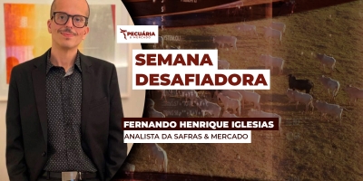 Incertezas sobre a demanda chinesa tiram frigoríficos das compras e mercado do boi inicia semana travado