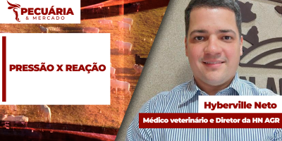 Frigoríficos aumentam pressão sobre arroba mas não conseguem recompor escalas de abate; oferta de animais reduziu