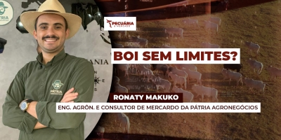 Arroba do boi  tem potencial de buscar os R$340 em SP,  alta deve se intensificar no interior