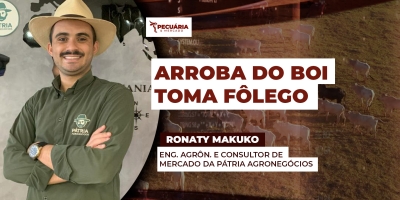 Arroba do boi ainda tem potencial de alta , apesar da recente estabilização dos preços