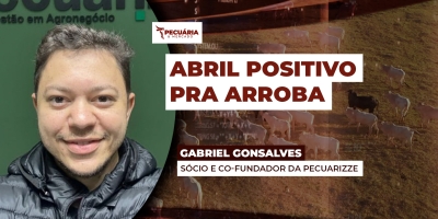 Movimento de alta da arroba se consolida nesse final de março e abre espaço para novas elevações em abril