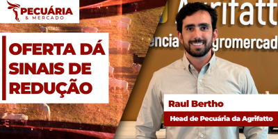 Oferta de animais dá sinais de arrefecimento, mas redução da demanda pela carne brasileira continua como fator de pressão da arroba