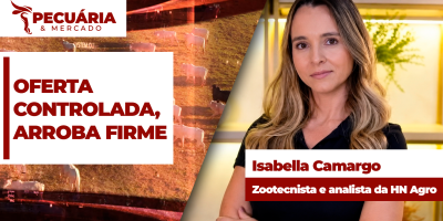A venda compassada de animais tem promovido leves ajustes na arroba, mesmo diante de uma demanda menor por carnes