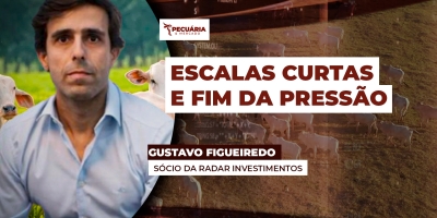 Pressão de baixa sobre arroba do boi está com os dias contados, frigoríficos não conseguiram alongar escalas