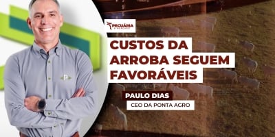 Centro-Oeste e Sudeste registram custos por arroba abaixo de R$ 200, garantindo lucro acima de R$ 930 por animal
