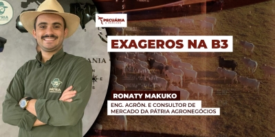Queda de R$15 na arroba do boi, projetada pela B3 para os meses de julho e agosto é exagerada, alerta Makuko.