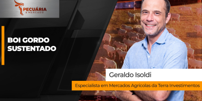Boi gordo: Mercado futuro mira R$ 400/@ e setor avalia impacto de possível cessão de cota do Uruguai para a China