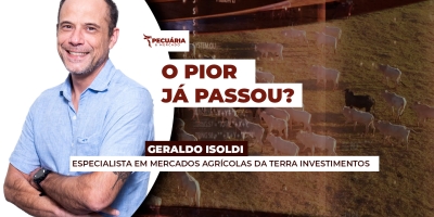 Arroba do boi na B3 busca recuperação enquanto mercado físico segue firme e com negócios voltando a fluir