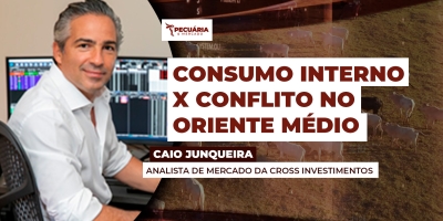 Consumo interno fraco pesa mais que conflito no Oriente Médio no movimento de pressão sobre arroba do boi gordo, alerta analista