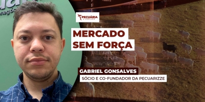 Queda de braços entre pecuaristas e frigoríficos por preços melhores limita movimentação da arroba